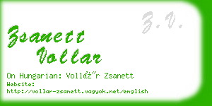 zsanett vollar business card